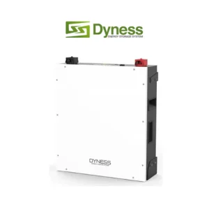 Dyness 5.12kWh 100Ah LiFePo4 Lithium Ion Battery BX51100